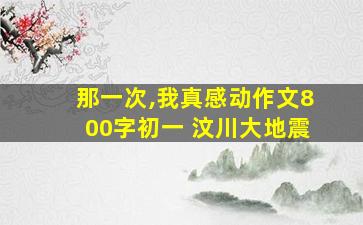 那一次,我真感动作文800字初一 汶川大地震